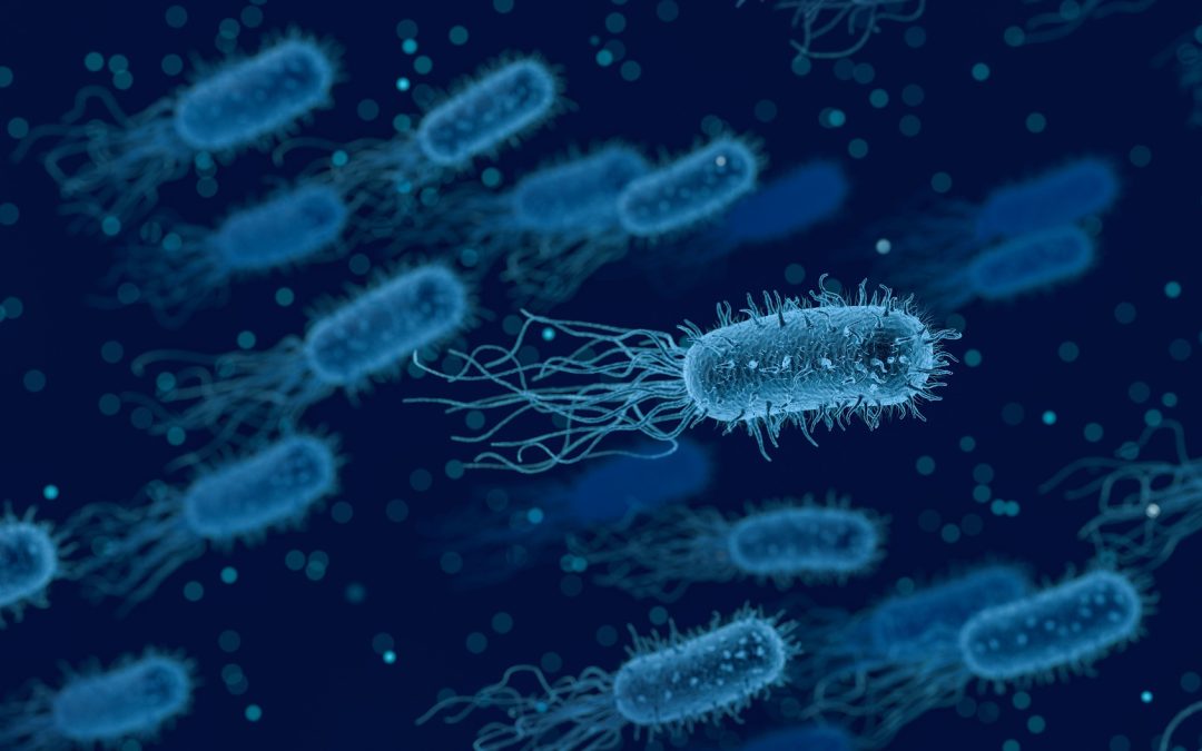 ¿Qué es el microbioma?