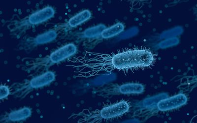 ¿Qué es el microbioma?