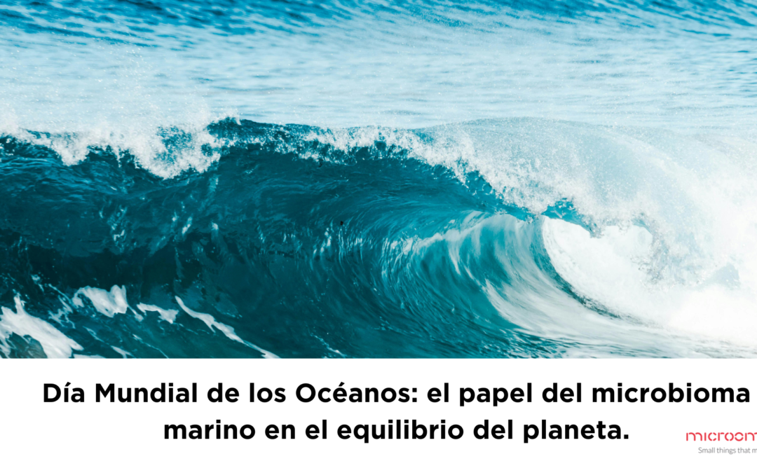 Día Mundial de los Océanos: el papel del microbioma marino en el equilibrio del planeta