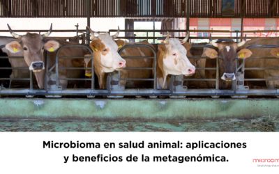 Microbioma en salud animal: aplicaciones y beneficios de la metagenómica