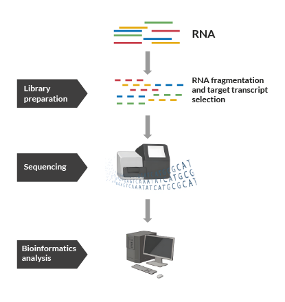 RNA-seq